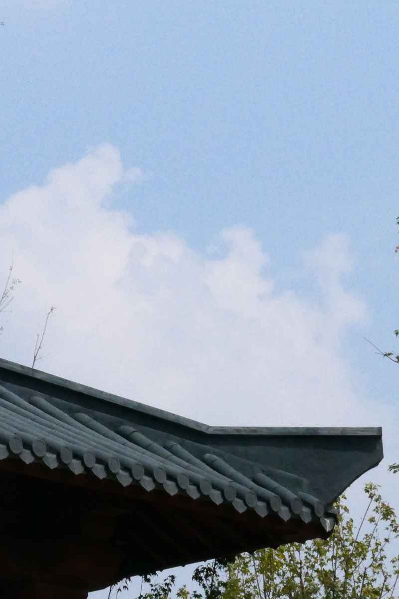 美景
