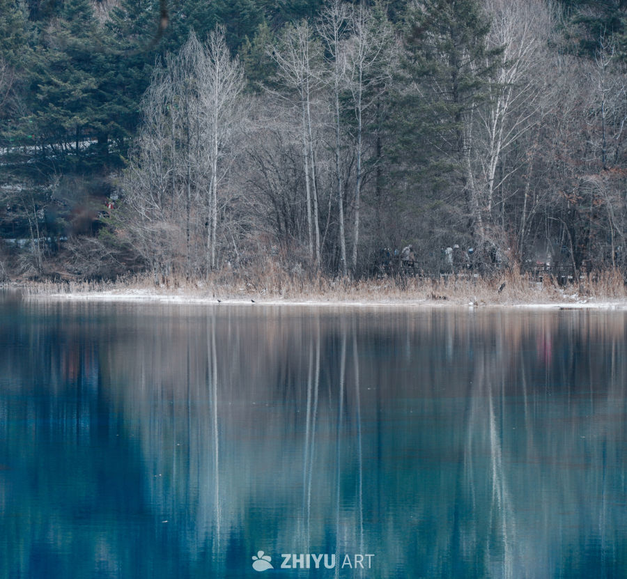 总要看一次冬天的九寨吧