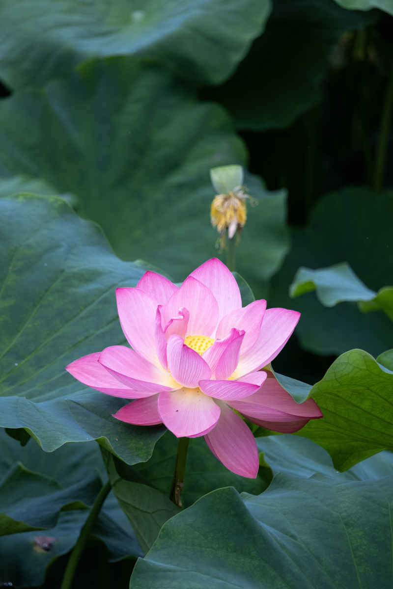 IMG_0396 拷贝