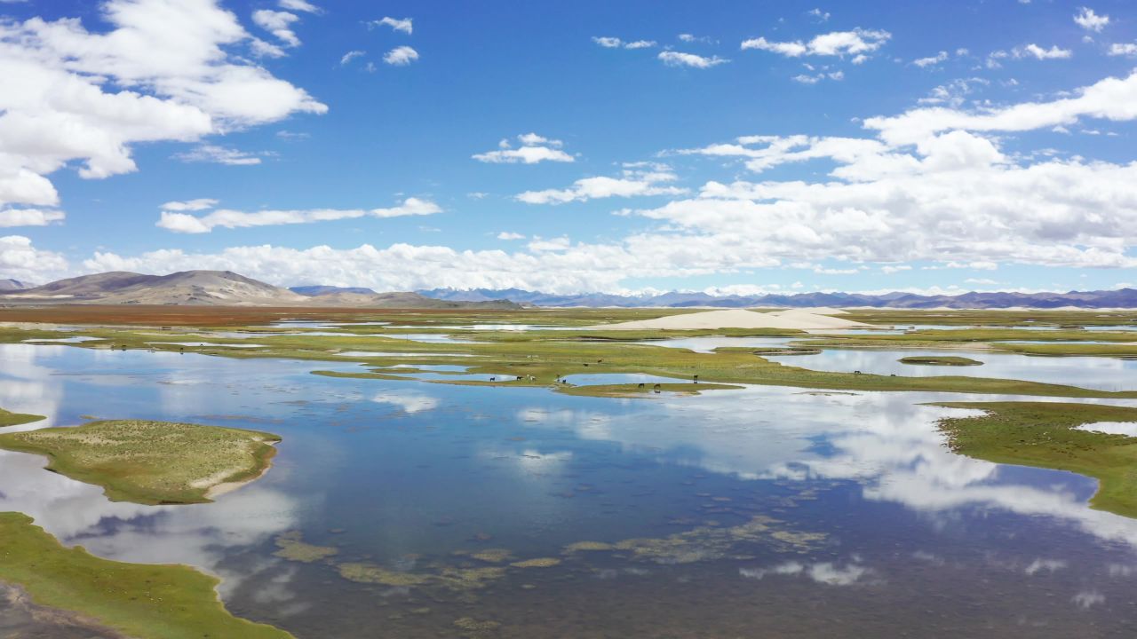 航拍西藏219国道旁的草原湿地 1