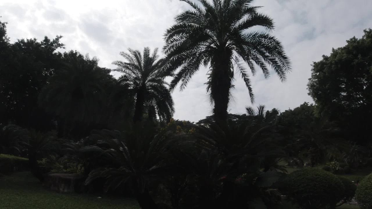 公园 12