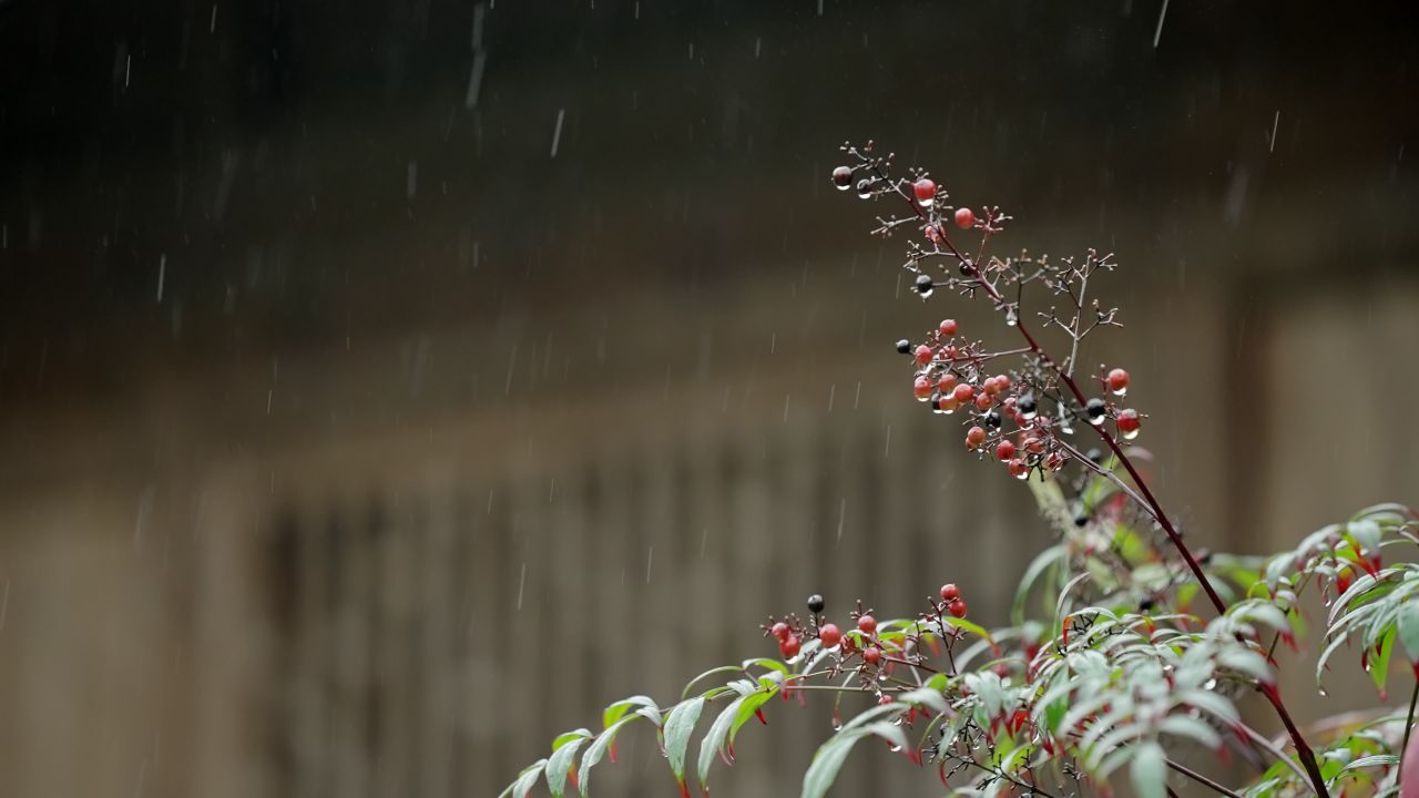 烟雨江南下雨情绪意境空境
