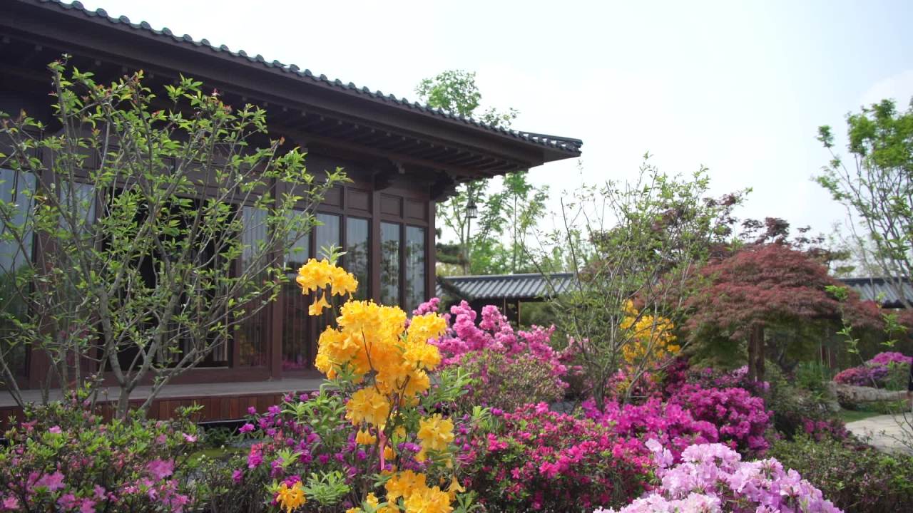 园林里的花花草草 27