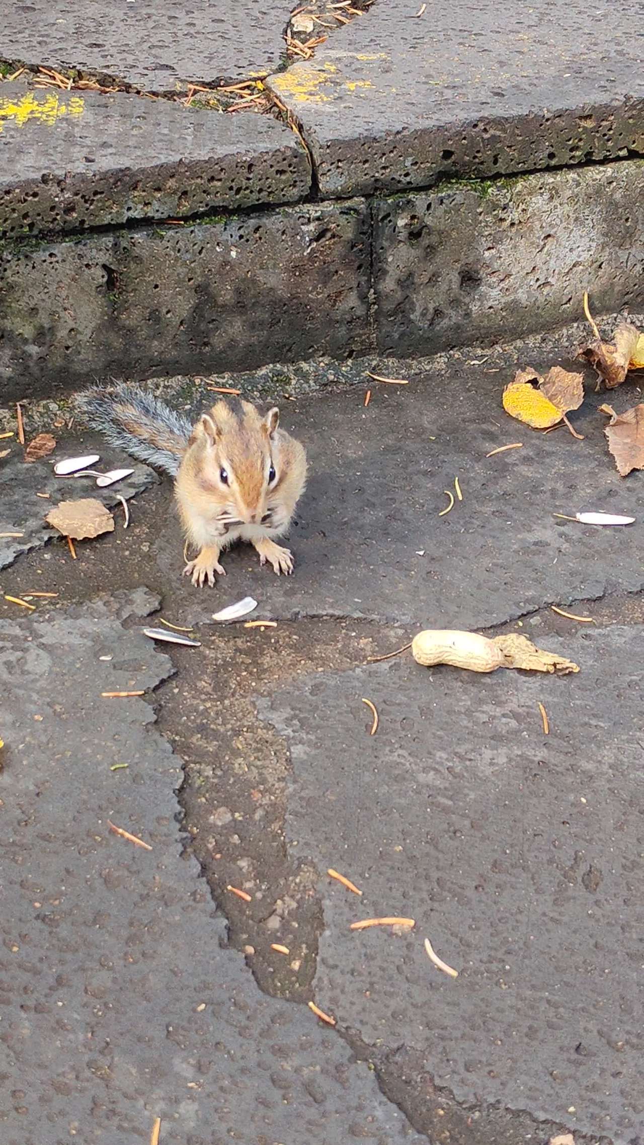 VID_20250926_143906 3