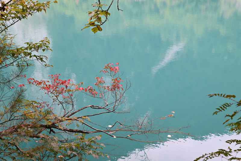 蓝湖红花