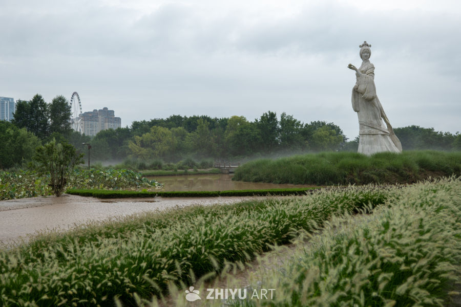 湿地公园 4