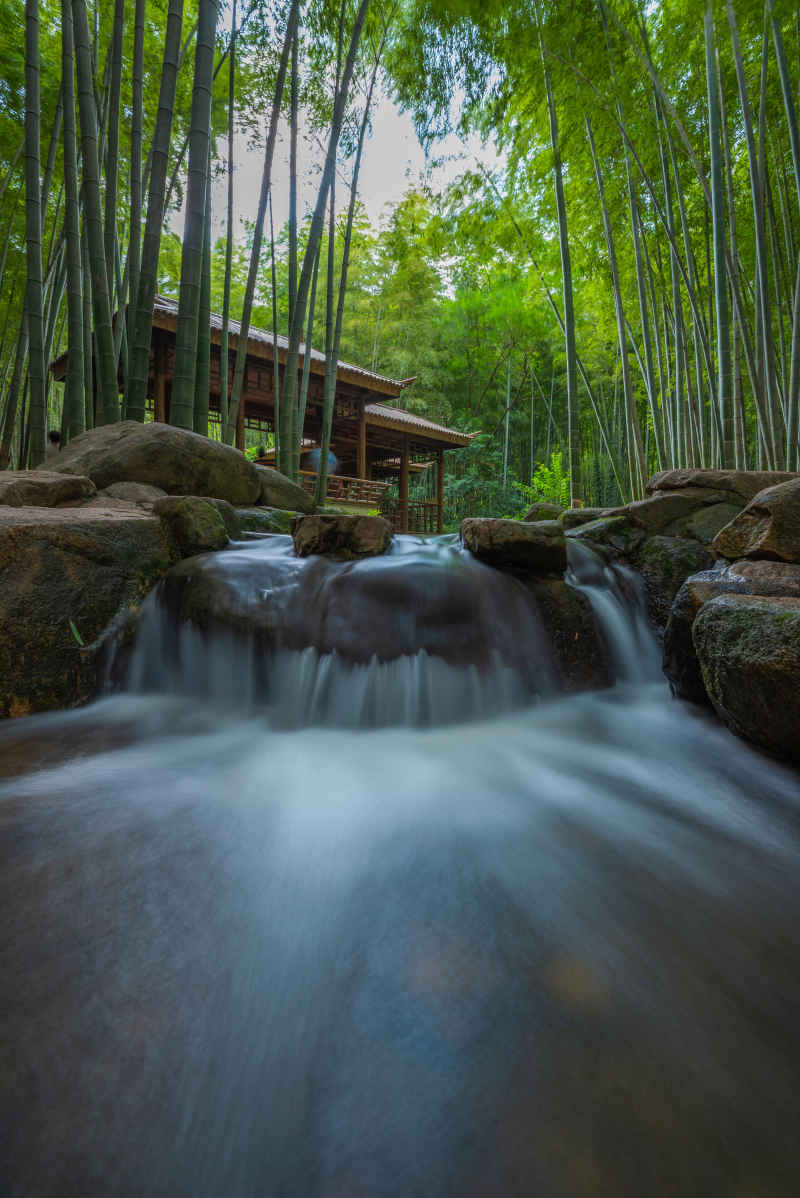 林间流水