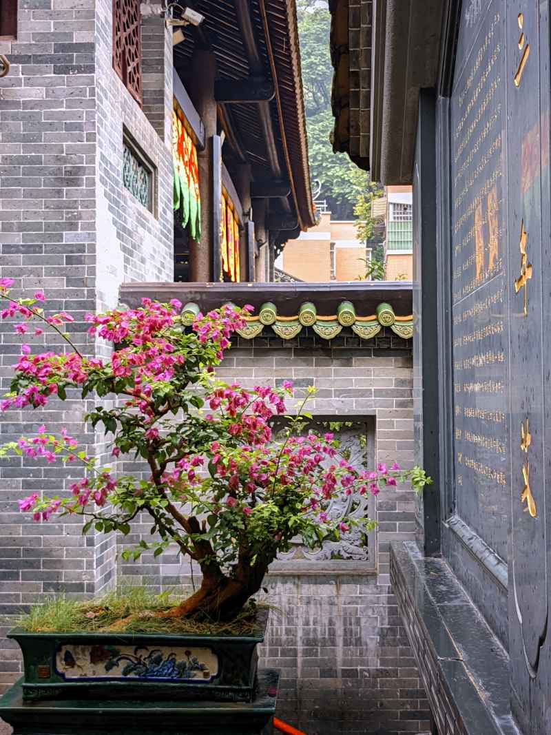 三元宫 3
