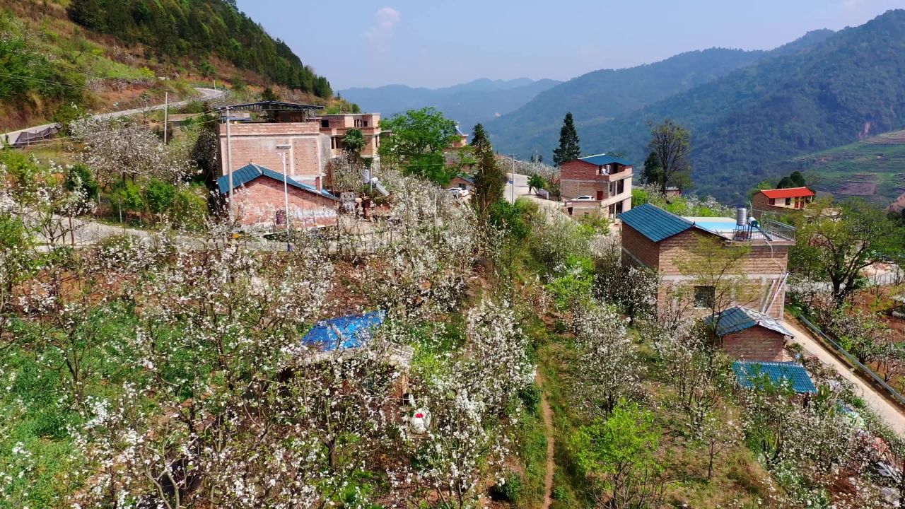 山间村落与盛开果园