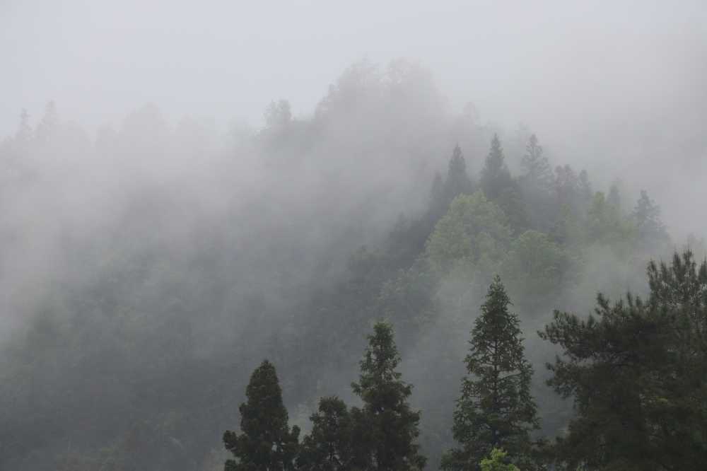 烟雨之中，西递附近小山丘如诗如画