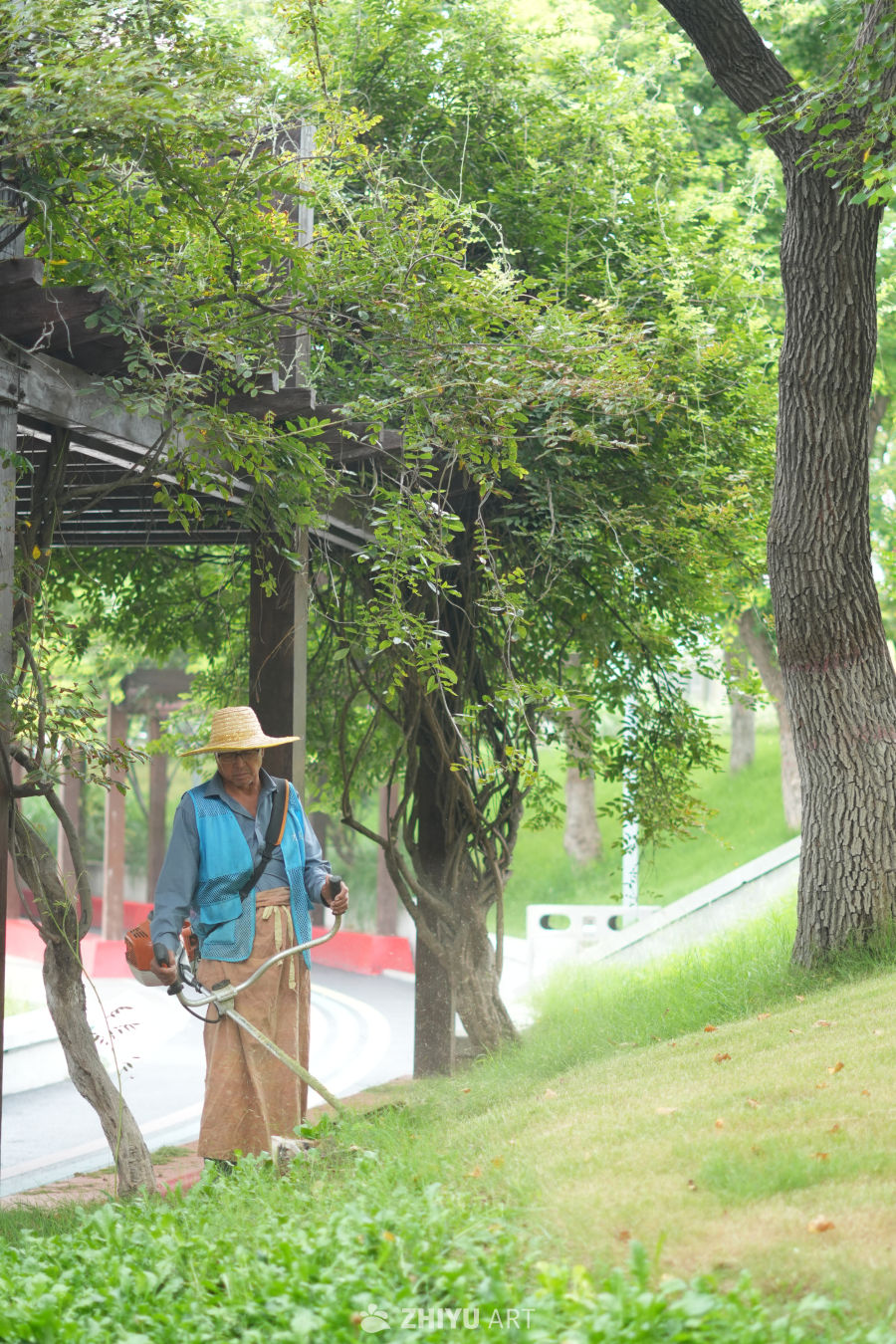 【实拍样片】索尼A6700相机实拍照片原片 12