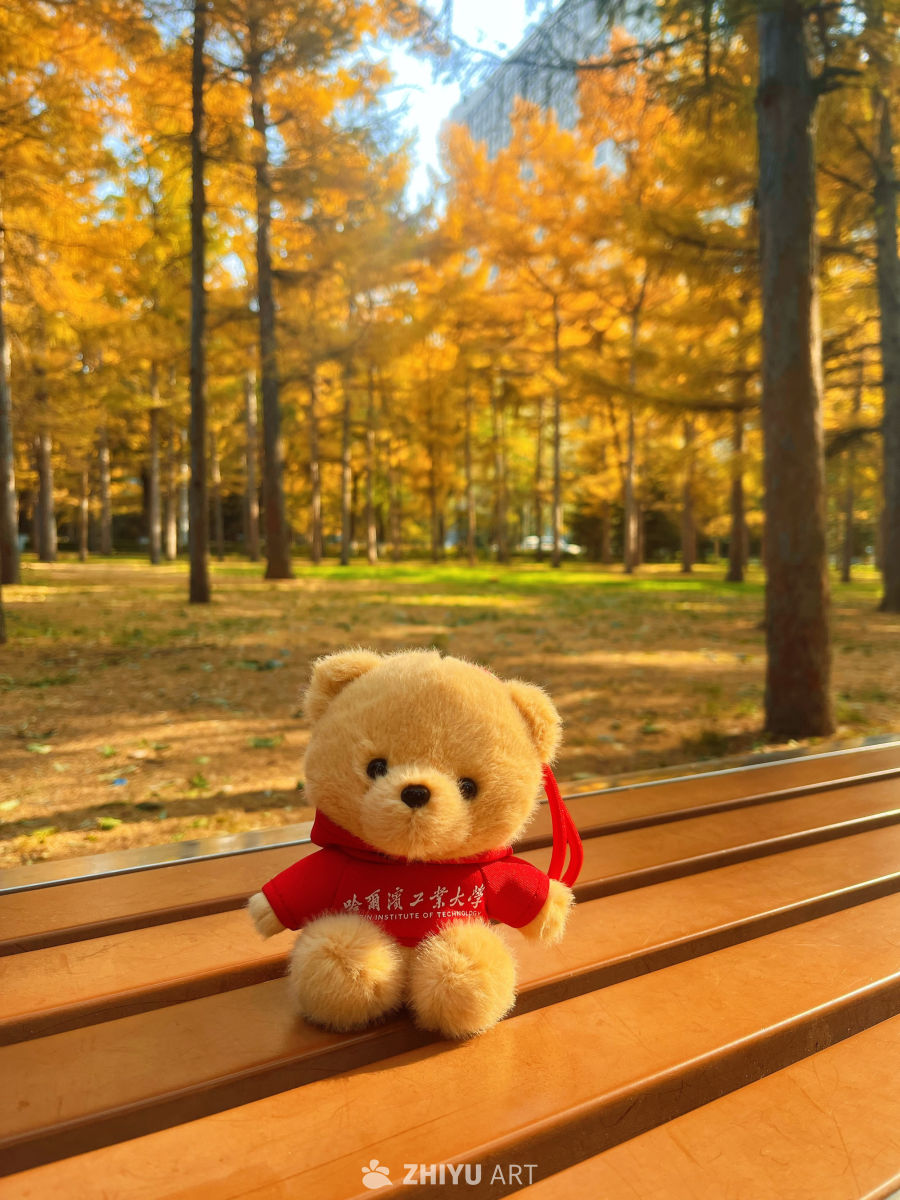 秋日公园的泰迪熊