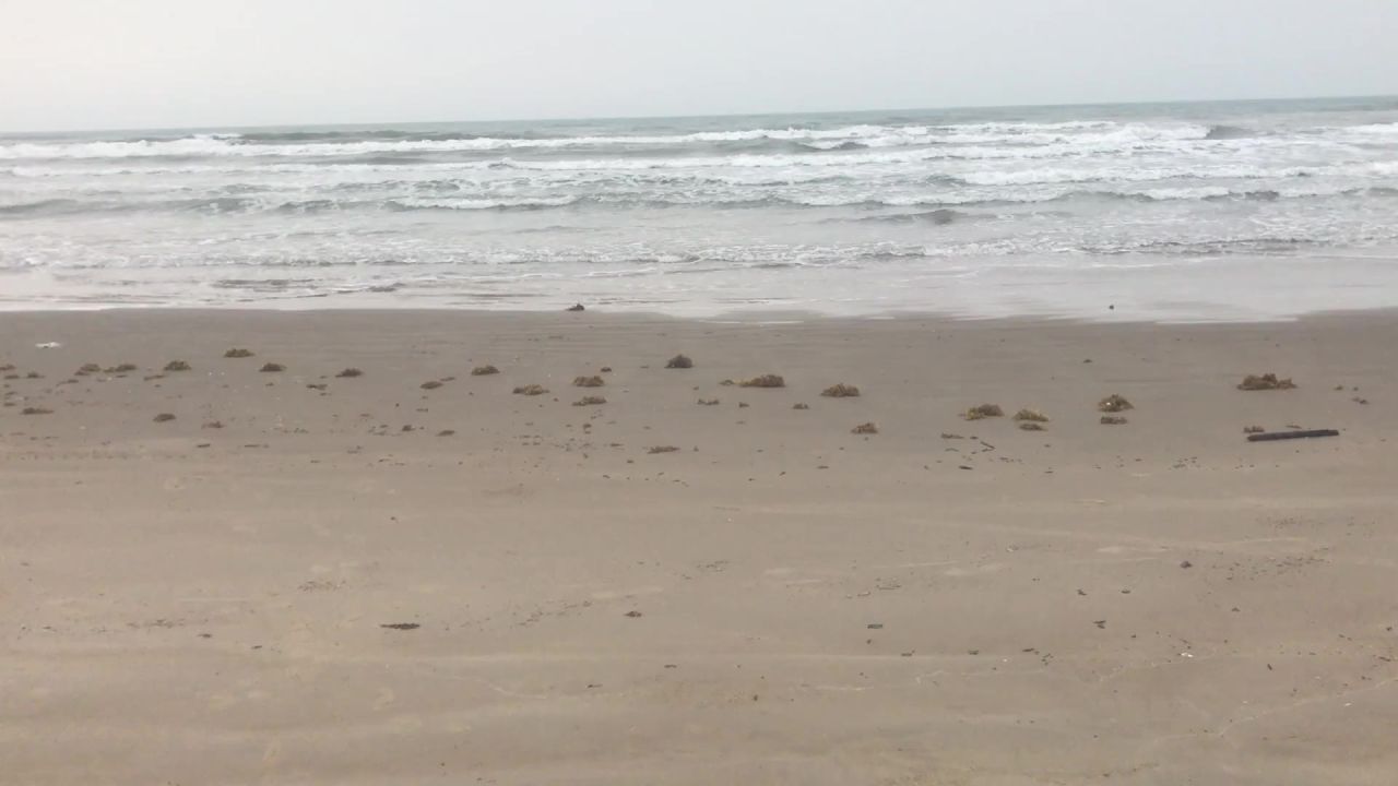 海滩马驴骑手