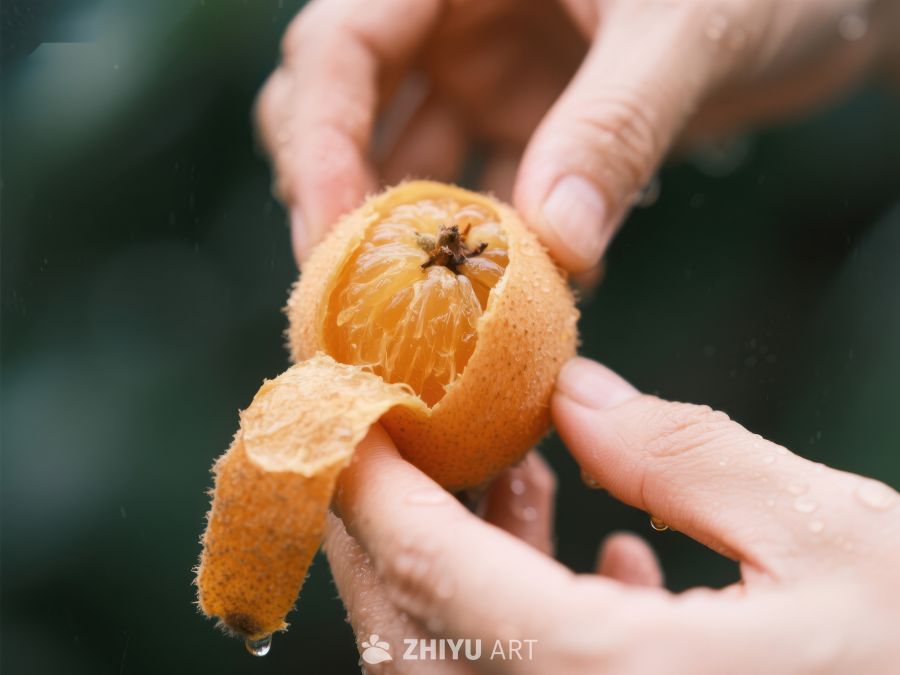 双手剥开新鲜橙子 498