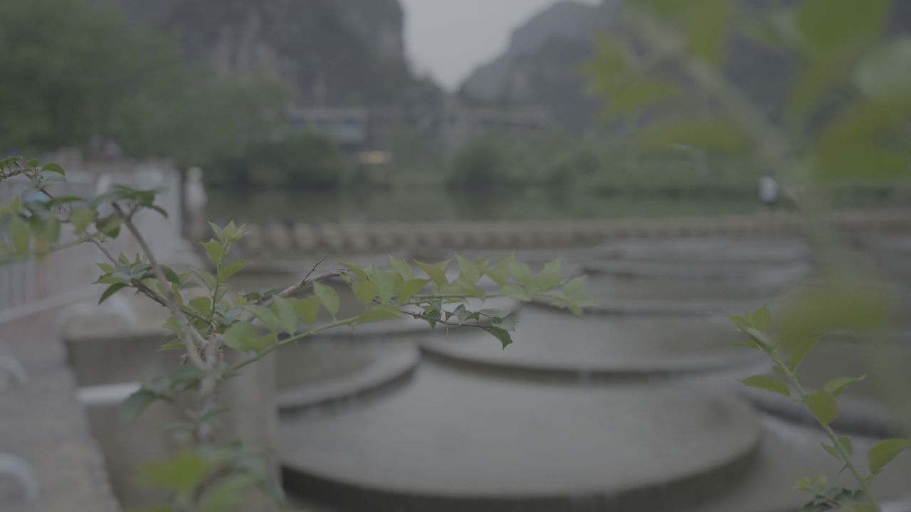 农村 3