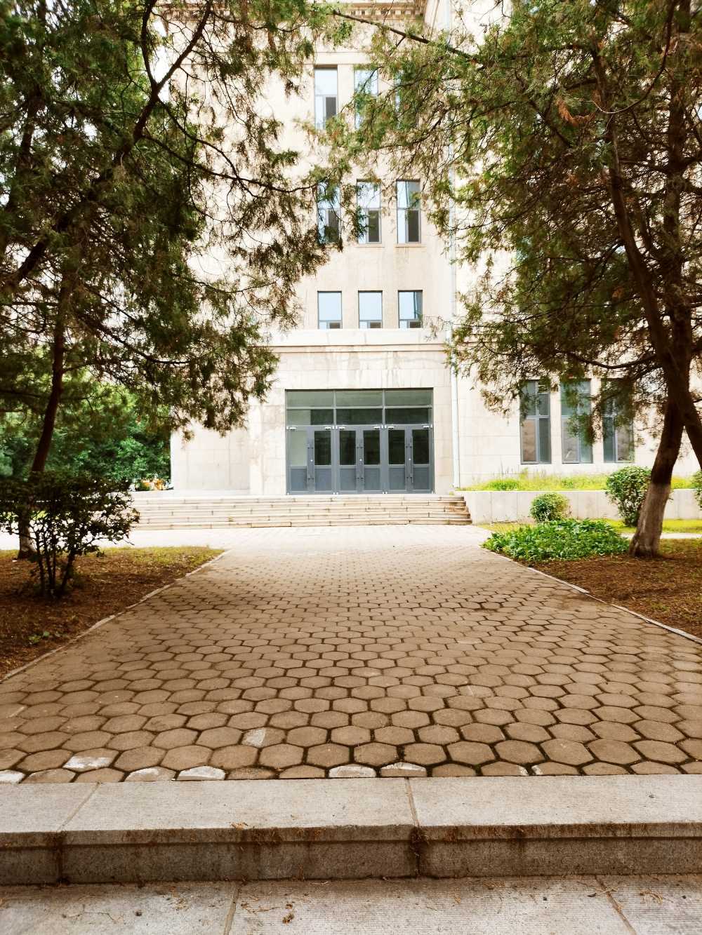 东北大学风景2