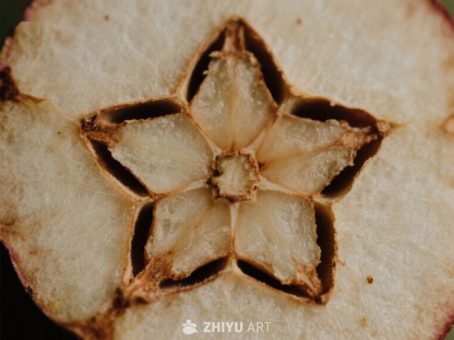 苹果切面的五角星核心 366