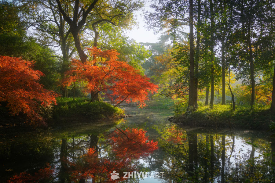 枫是冬日的序章