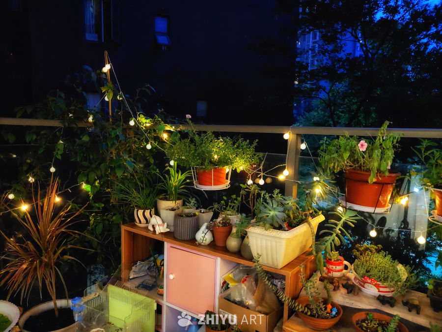 夜幕下的阳台花园