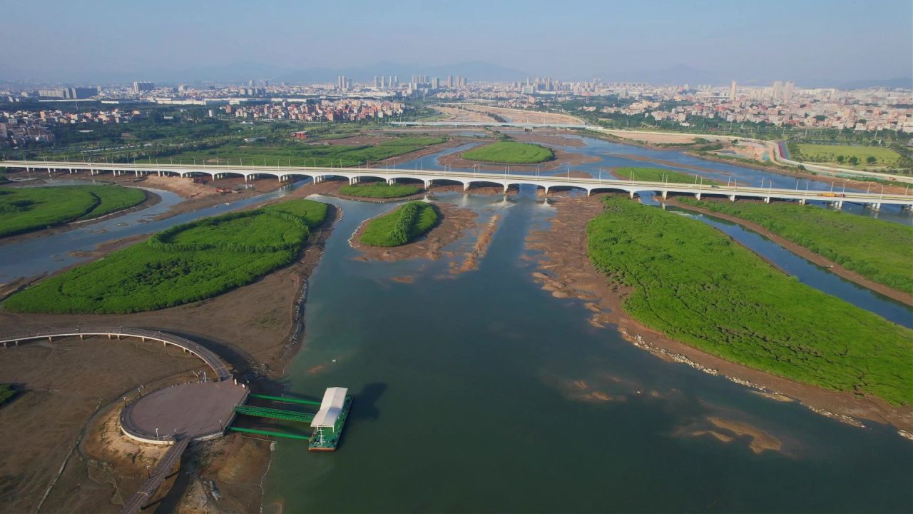 厦门航拍下潭尾湿地公园