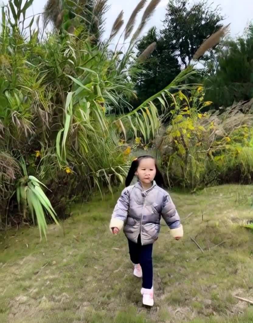 女孩在野外行走，周围是茂盛的植被。