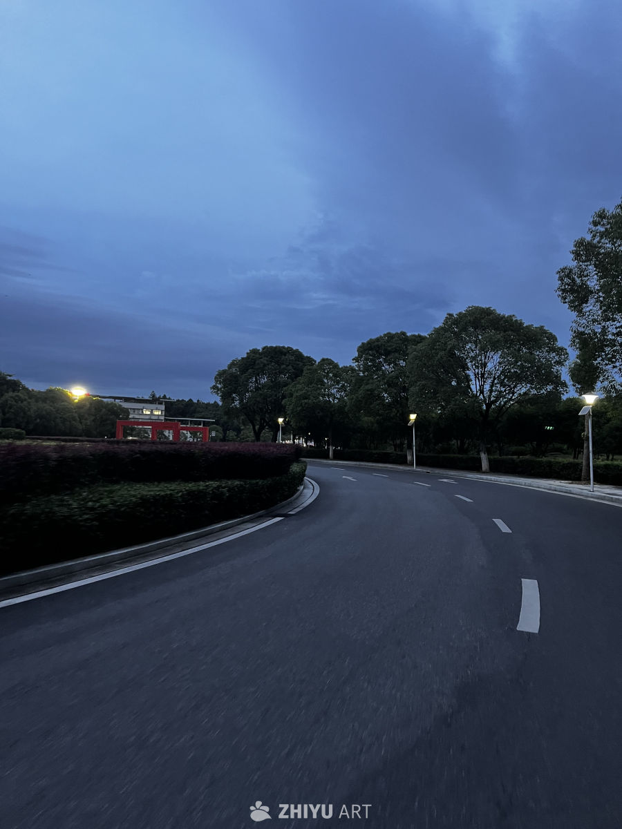 夜幕下的城市小径