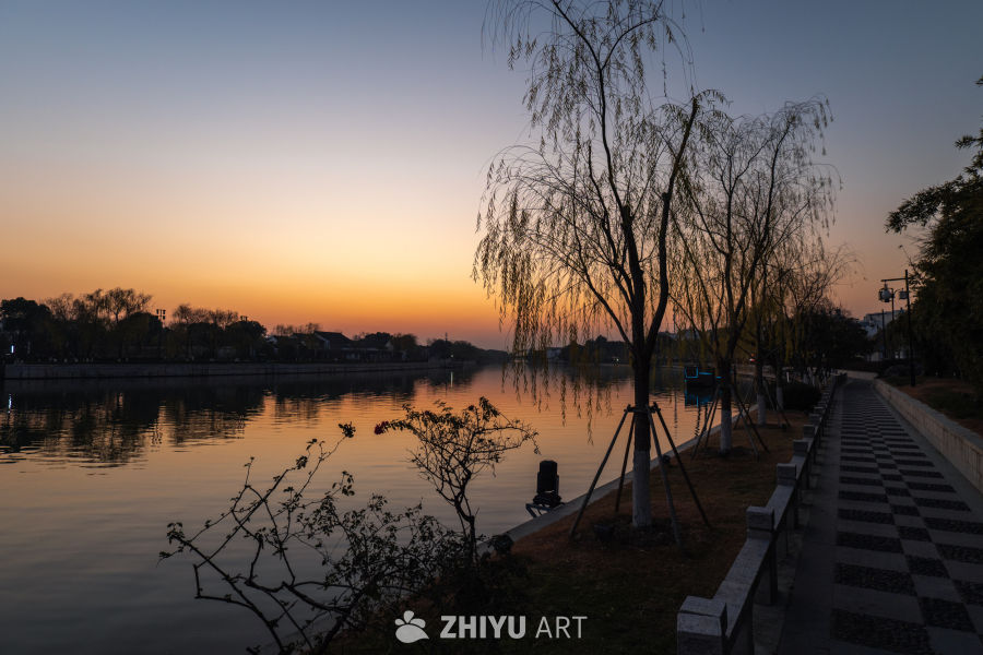 黄昏河畔柳树静