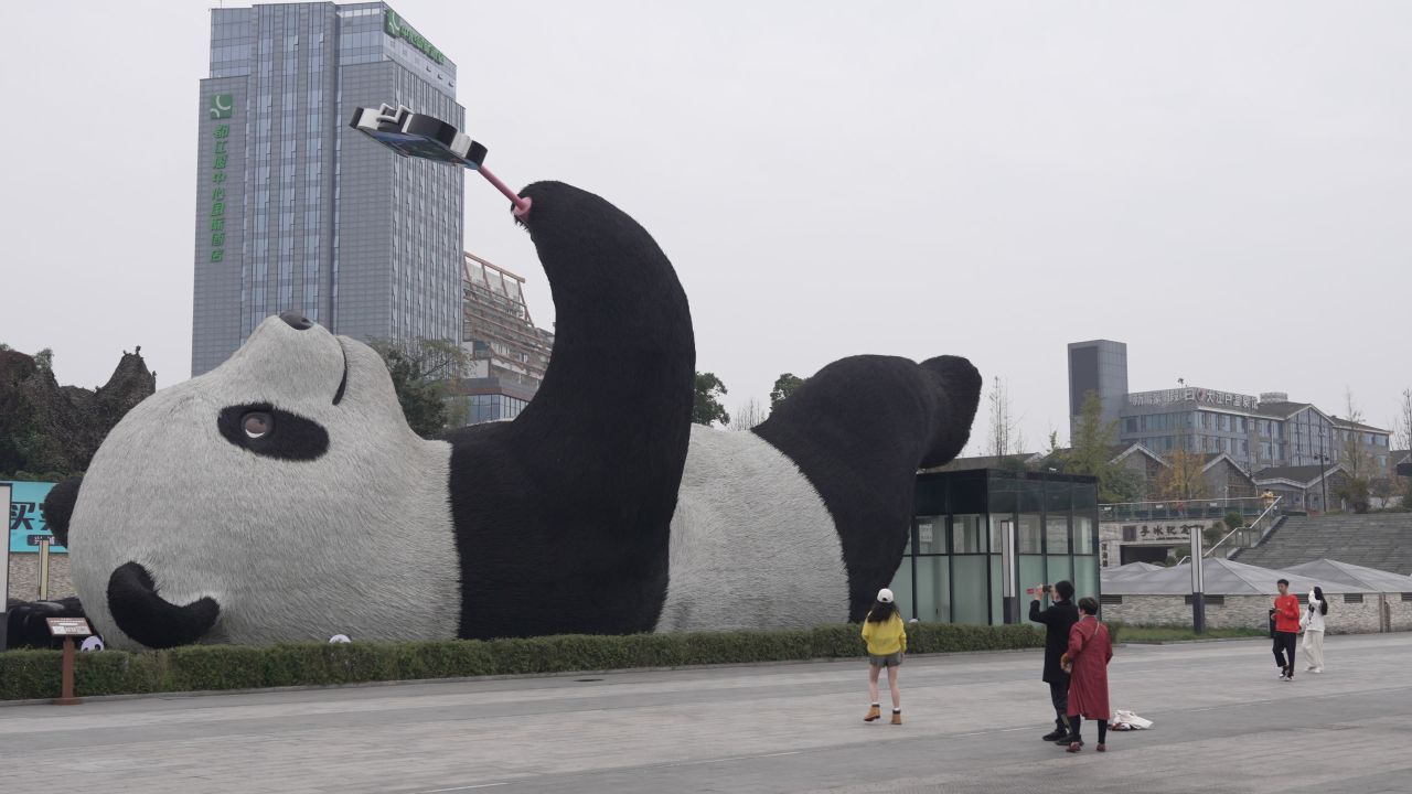 仰天窝广场-自拍熊猫