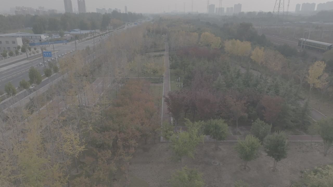 城市中的绿洲