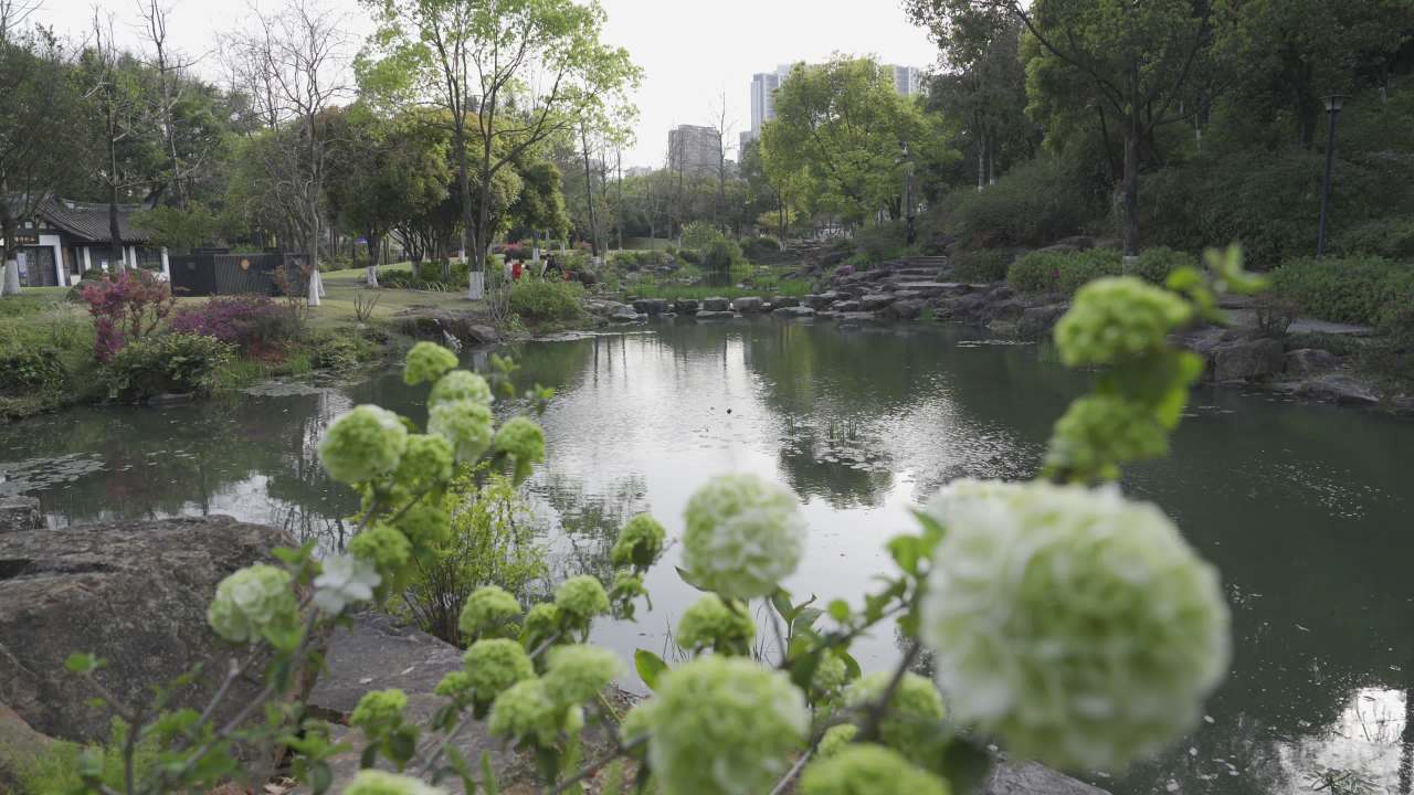 城市中的自然乐园