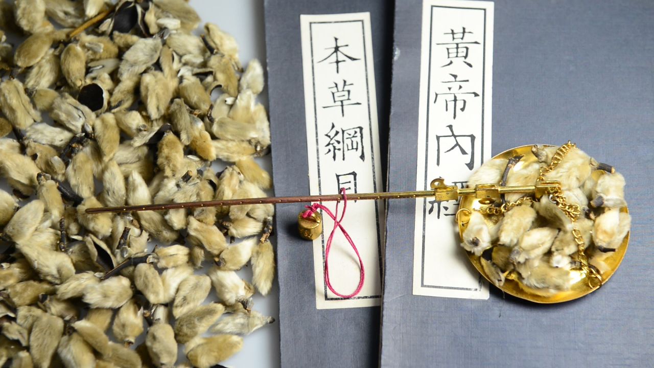 中药材辛夷 26