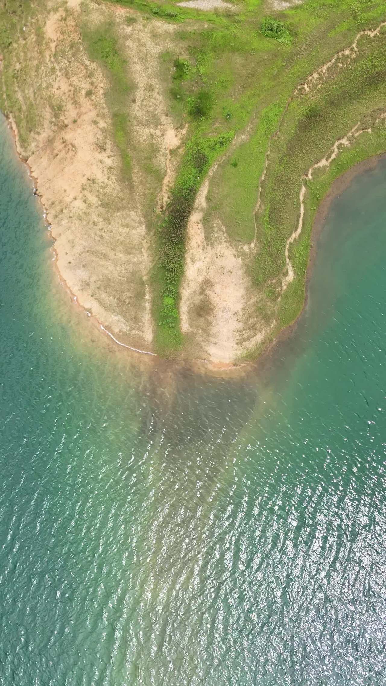 海岸绿洲