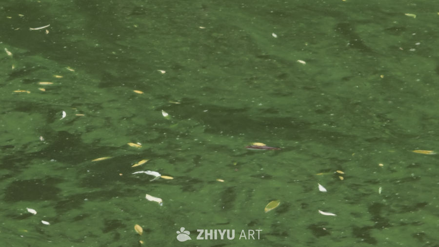 雨后的湖面