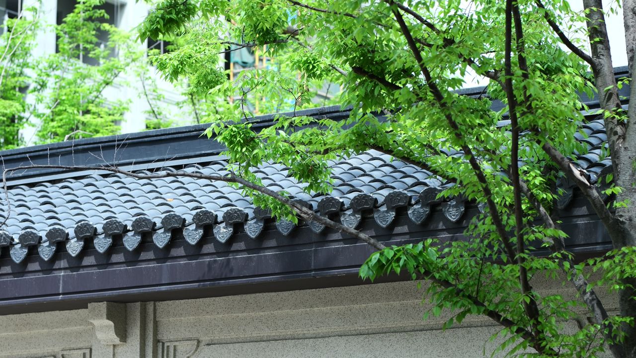 枫叶空镜头，小区春天空镜头 3