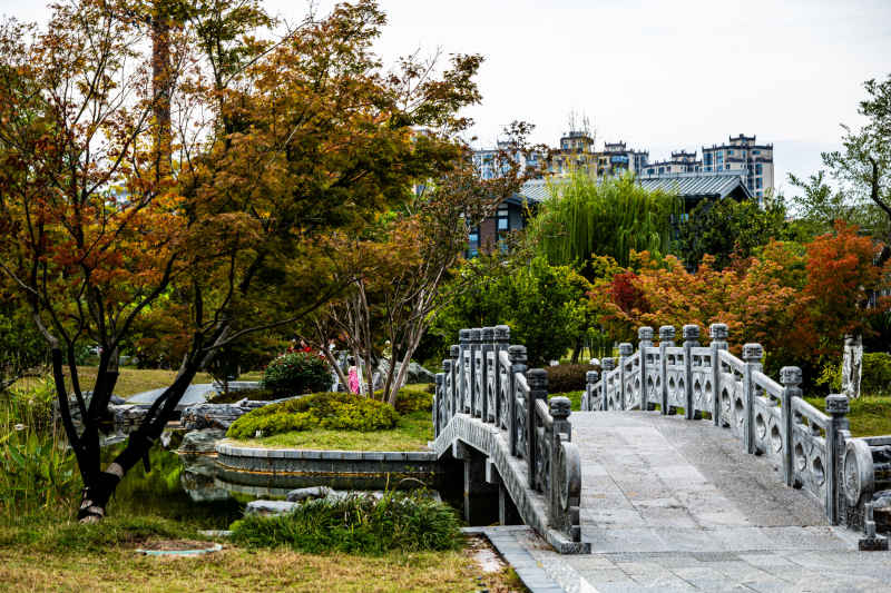 江边美景 19