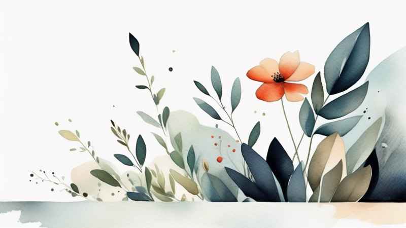 极简主义元素花朵和树枝插画