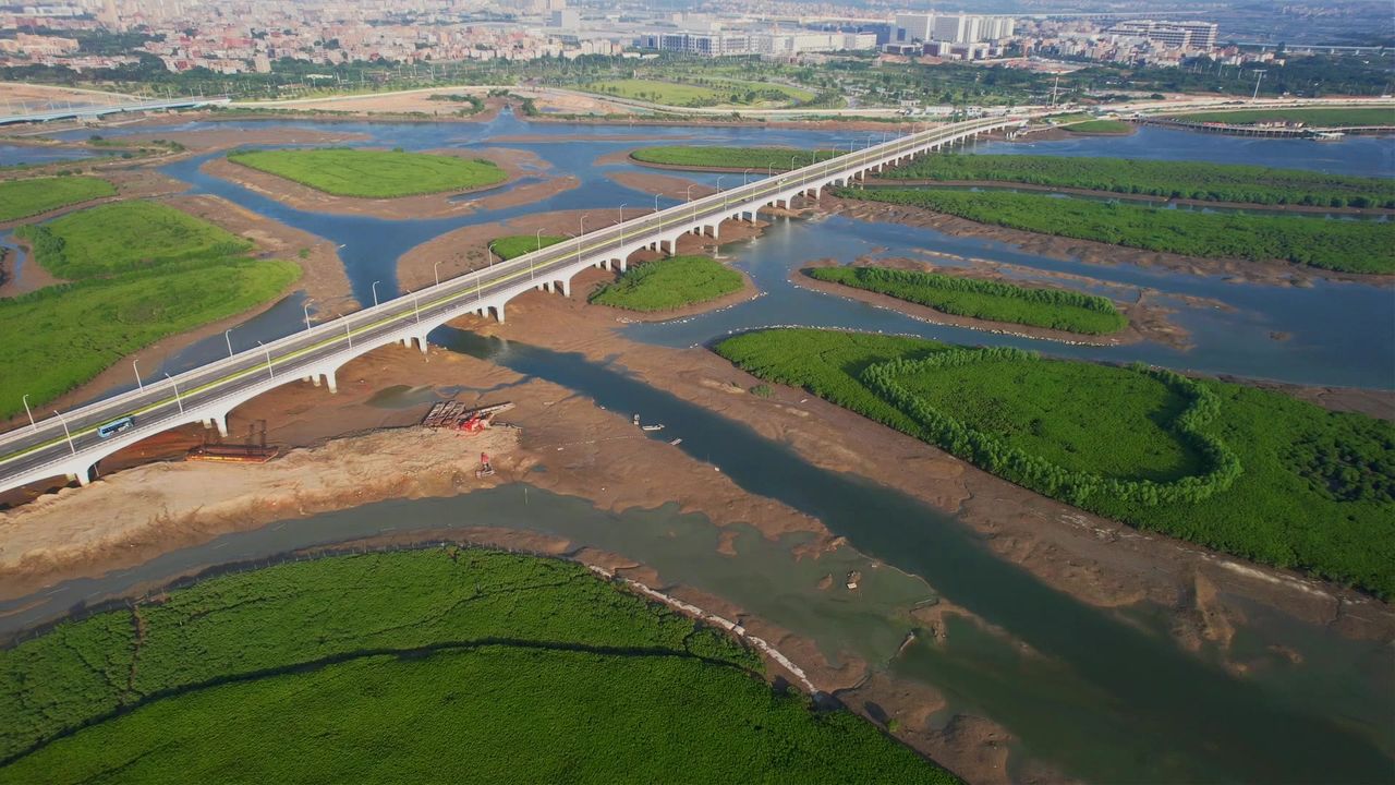 厦门航拍下潭尾湿地公园