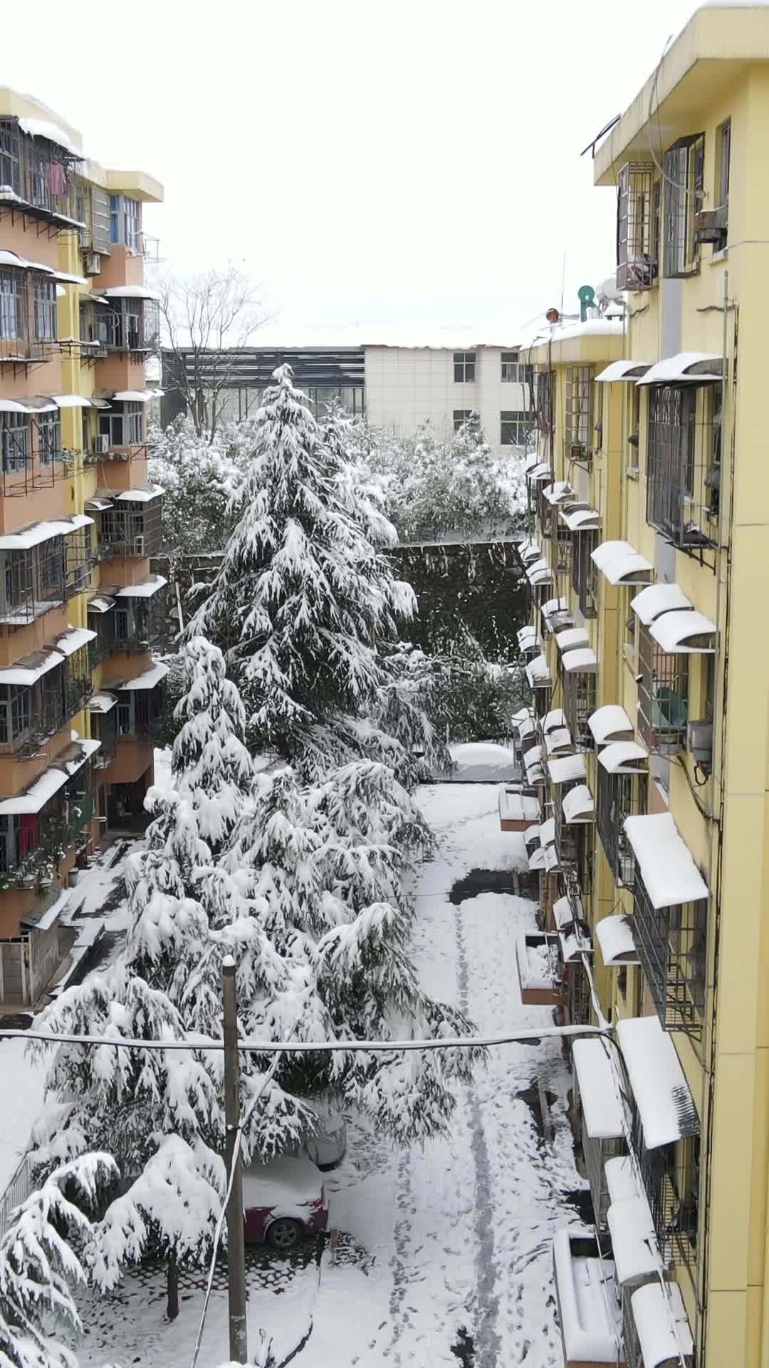 竖屏航拍冬天雪景