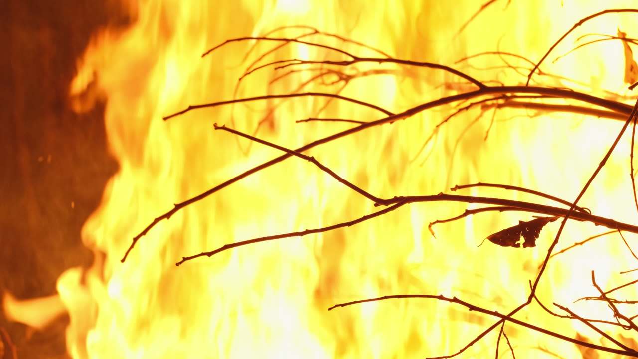 森林大火灾焚烧秸秆火焰燃烧 43