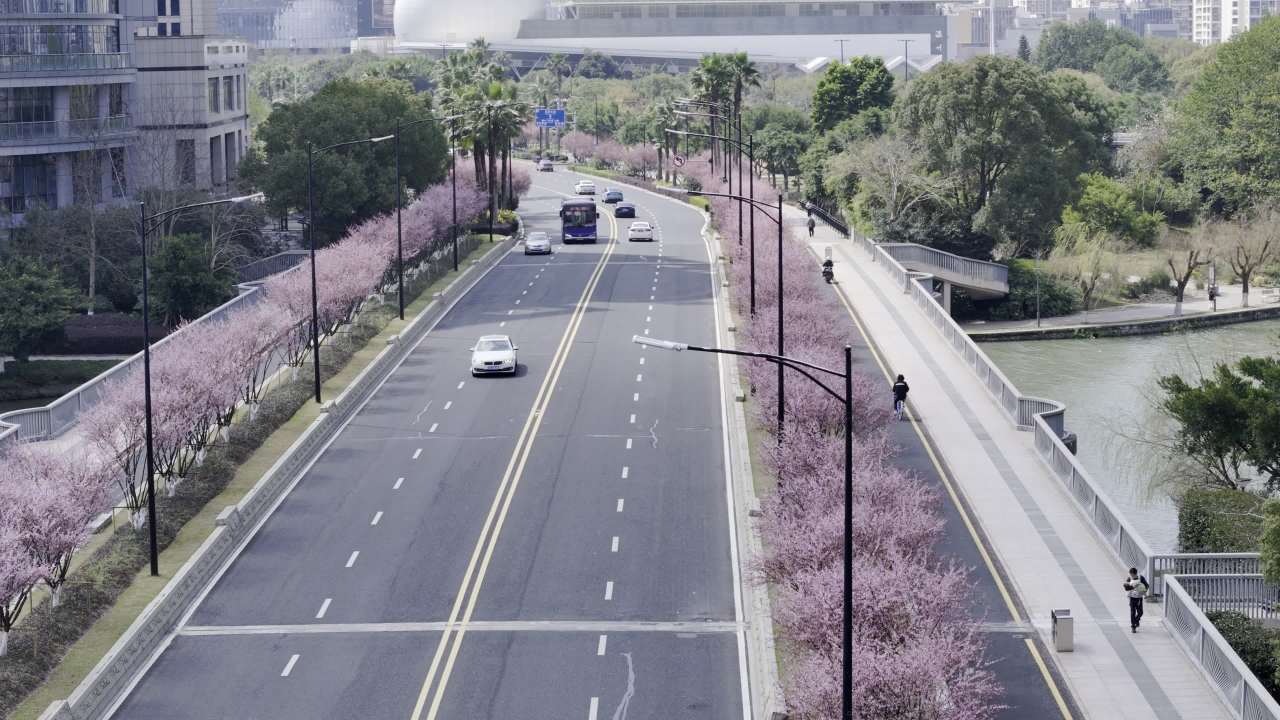 城市春日景象