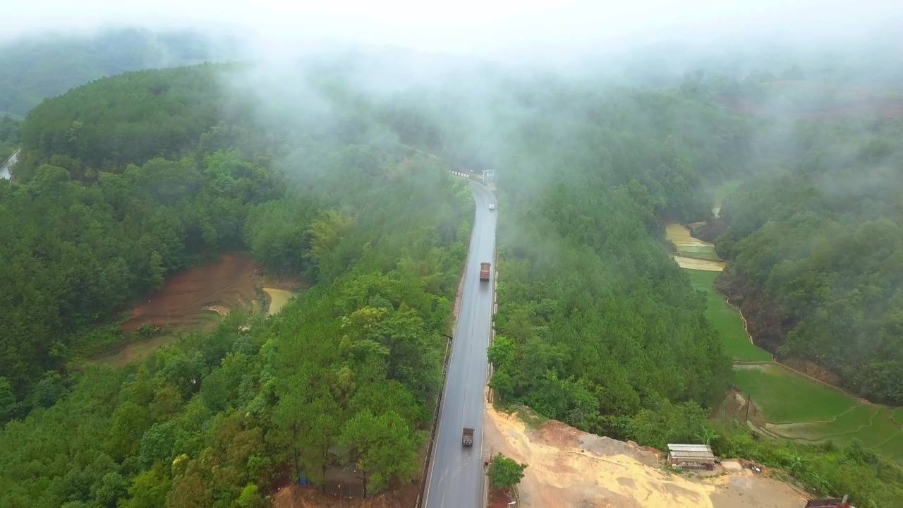 雾中森林公路