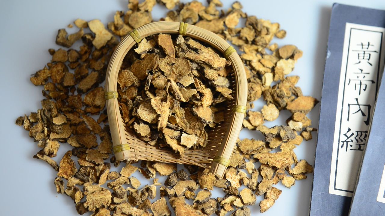 中药材苍术 13