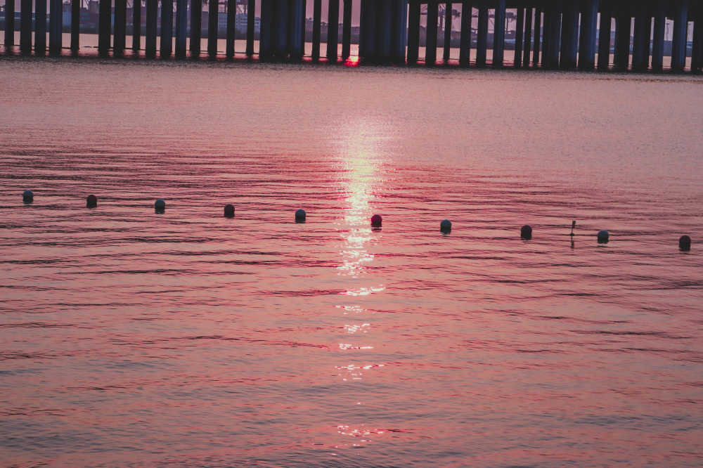 前海石公园的夕阳橘子海