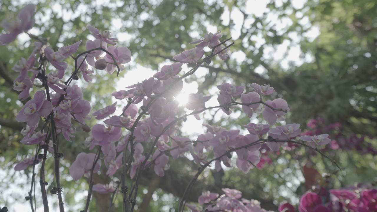 青秀山 22