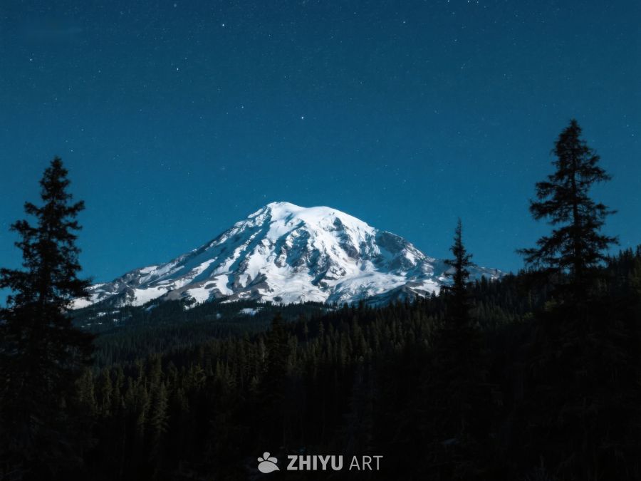 夜幕下的雪山与森林 519