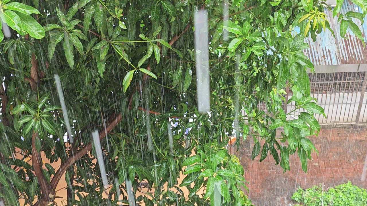 4K瓢泼大雨