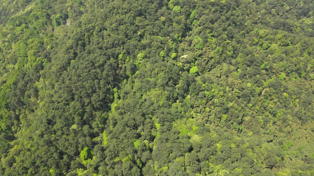 重庆缙云山航拍 2