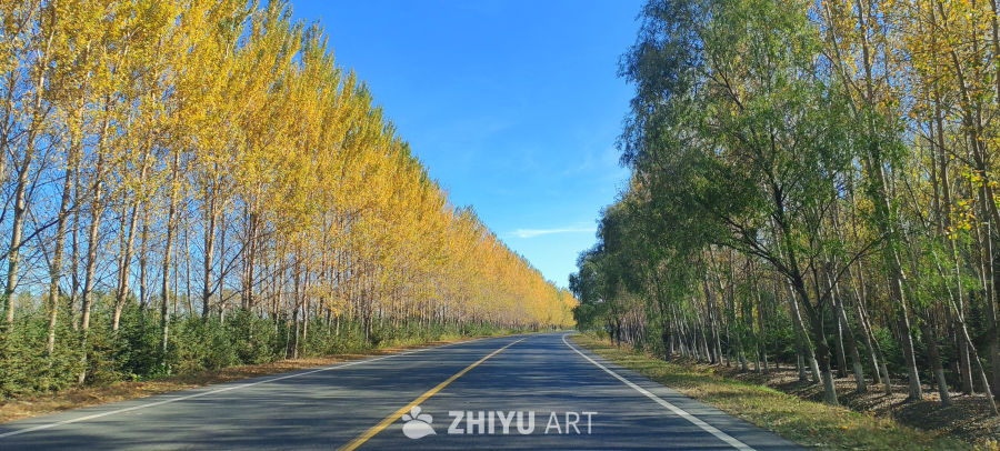 秋路双色 金翠织秋