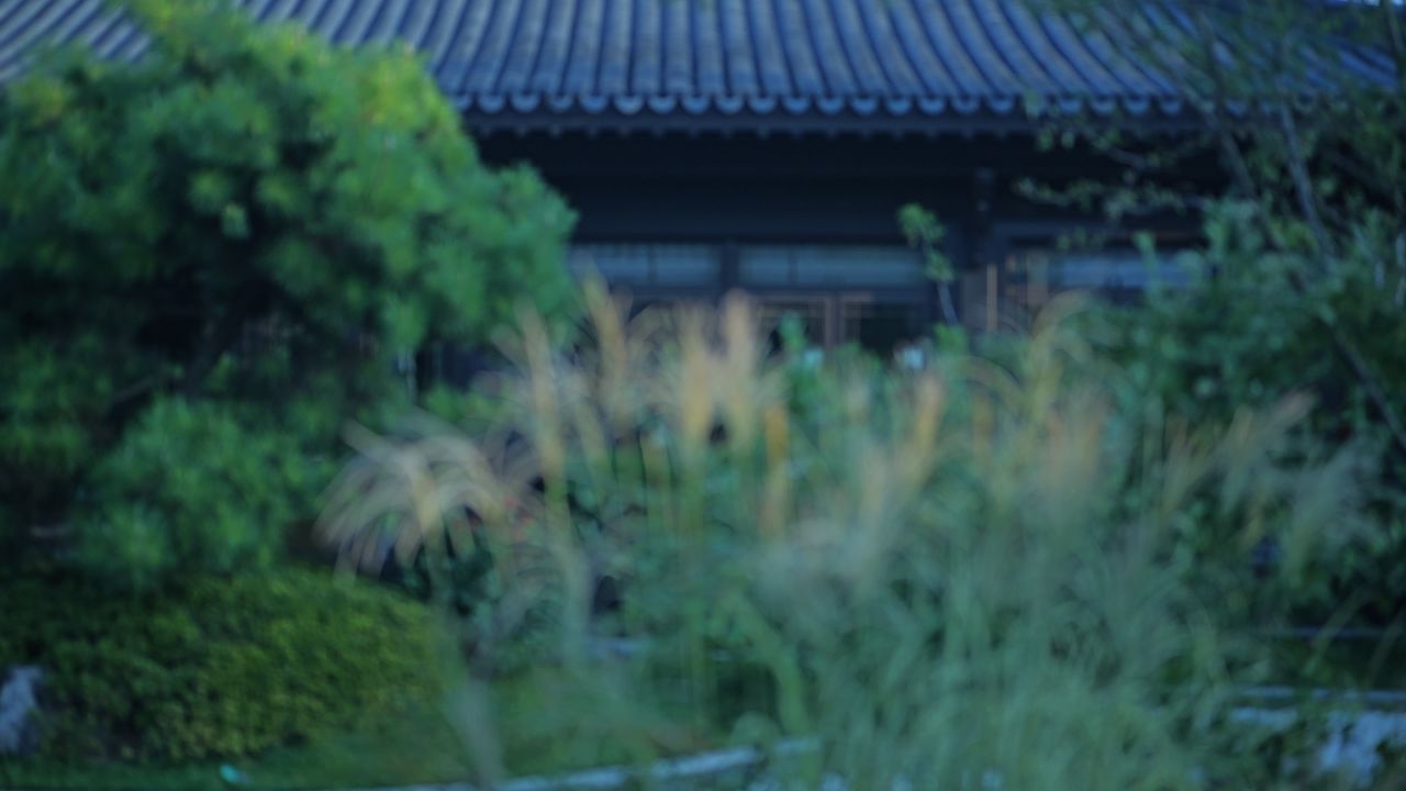 中式建筑空镜头