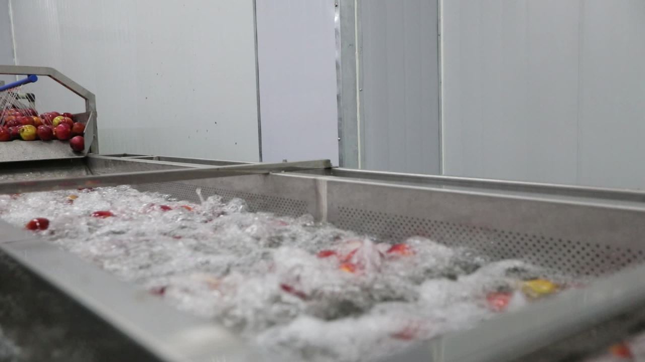 苹果片加工